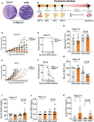 Repurposing live attenuated trivalent MMR vaccine as cost-effective cancer immunotherapy